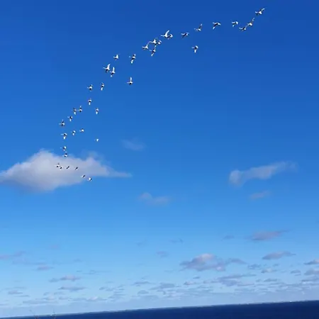 Zatoka Snow Z Widokiem Na Morze 3,5h Od Wawy * Mechelinki