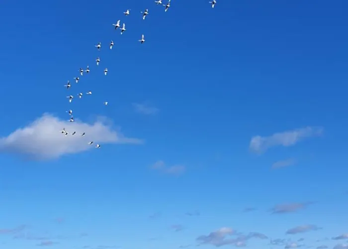 Zatoka Snów Z Widokiem Na Morze 3,5h Od Wawy * Mechelinki